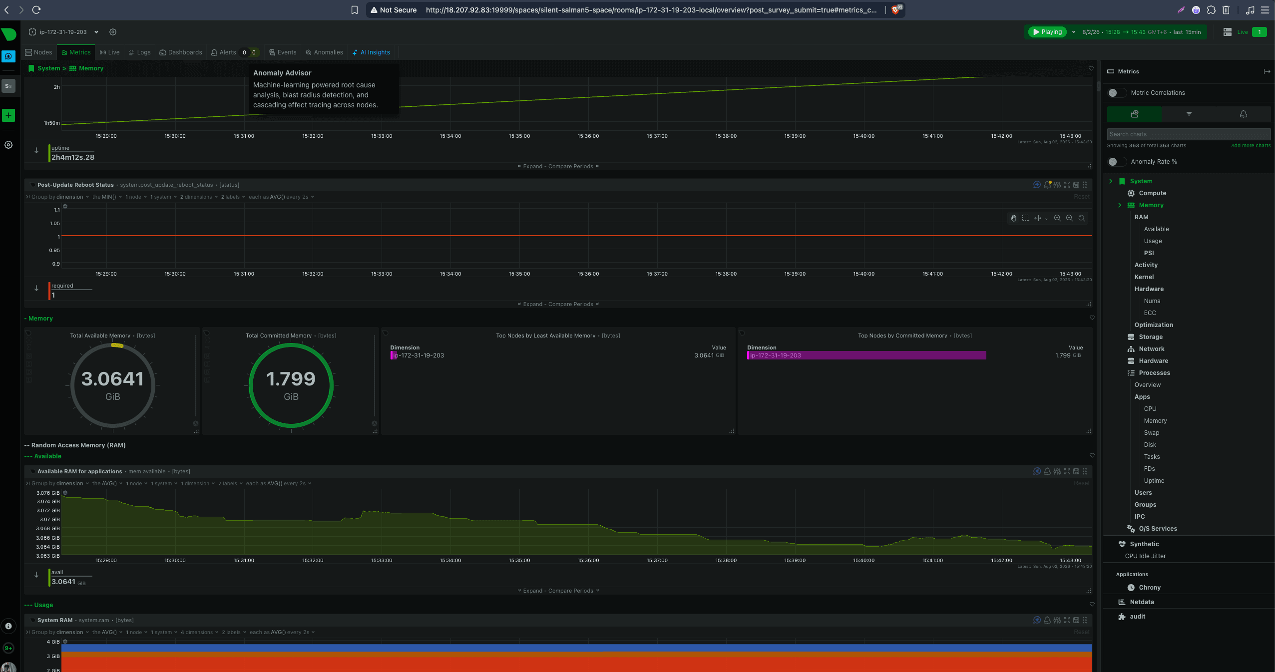 AWS EC2 NetData Infrastructure Monitoring screenshot 3